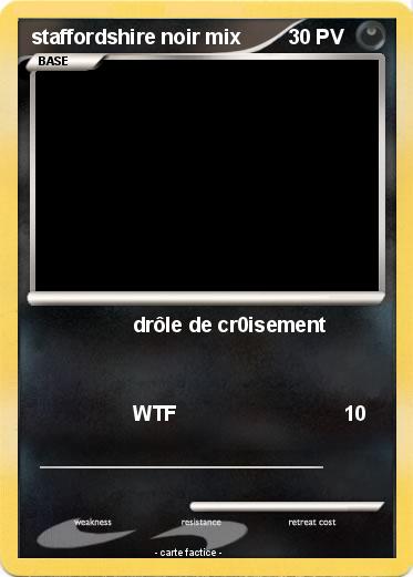 Pokemon staffordshire noir mix