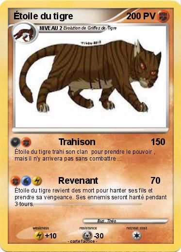Pokemon Étoile du tigre