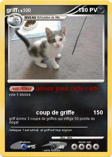 Pokemon griff