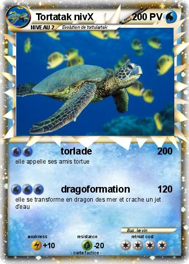 Pokemon Tortatak nivX