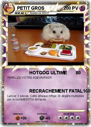 Pokemon PETIT GROS