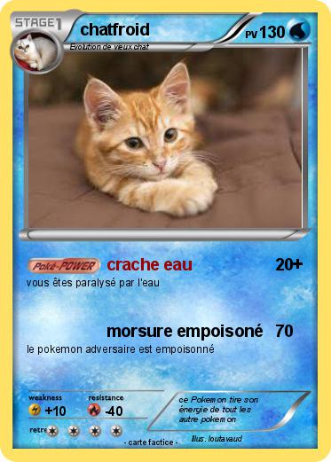 Pokemon chatfroid
