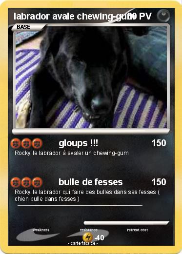 Pokemon labrador avale chewing-gum