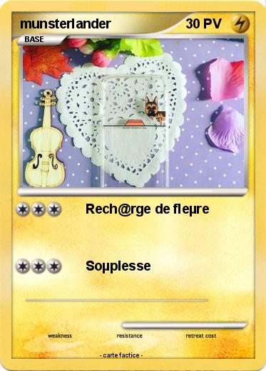 Pokemon munsterlander