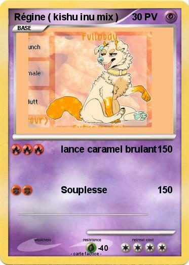 Pokemon Régine ( kishu inu mix )