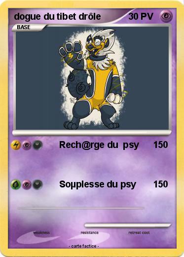 Pokemon dogue du tibet drôle