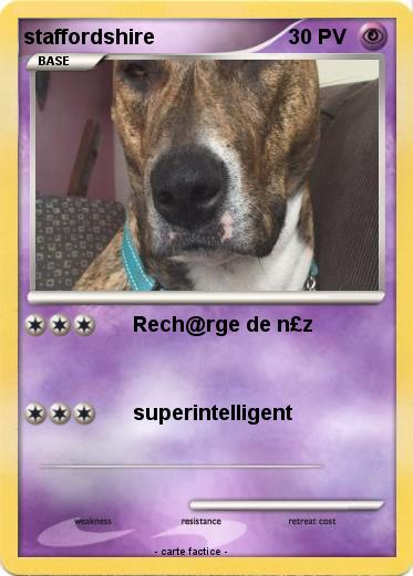 Pokemon staffordshire