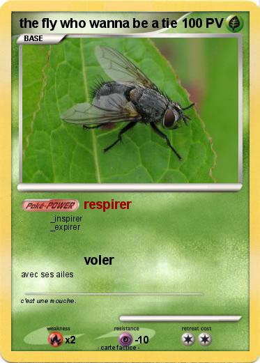 Pokemon the fly who wanna be a tie