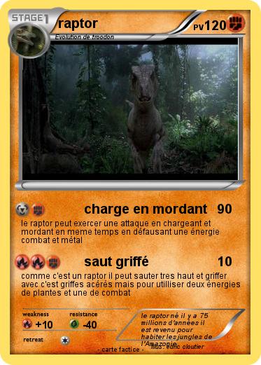 Pokemon raptor