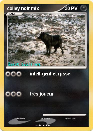 Pokemon colley noir mix