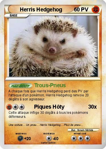 Pokemon Herris Hedgehog