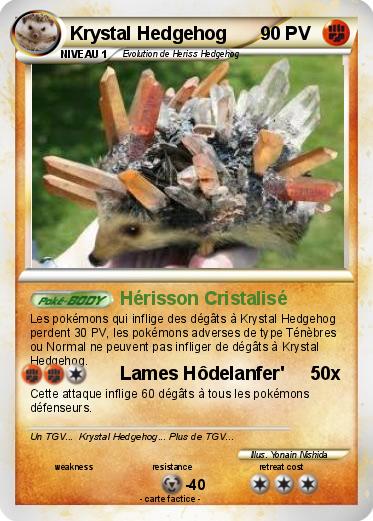 Pokemon Krystal Hedgehog