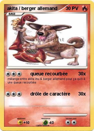 Pokemon akita / berger allemand