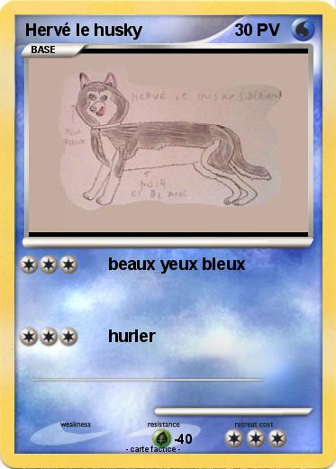 Pokemon Hervé le husky