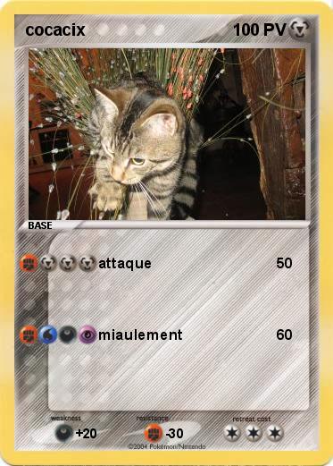 Pokemon cocacix