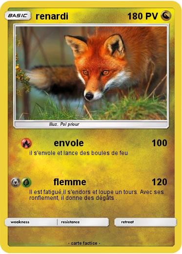 Pokemon renardi