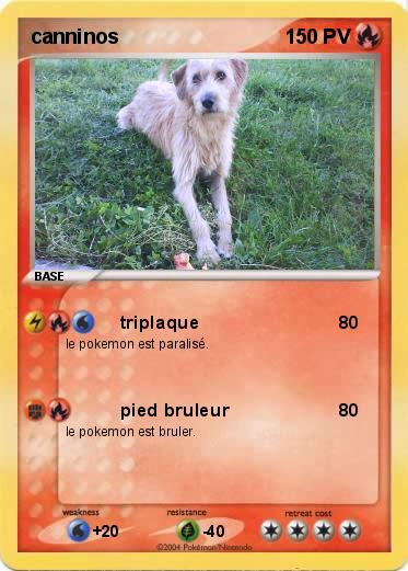 Pokemon canninos