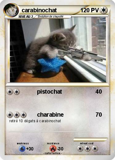 Pokemon carabinochat