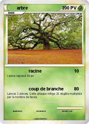 Pokemon arbre
