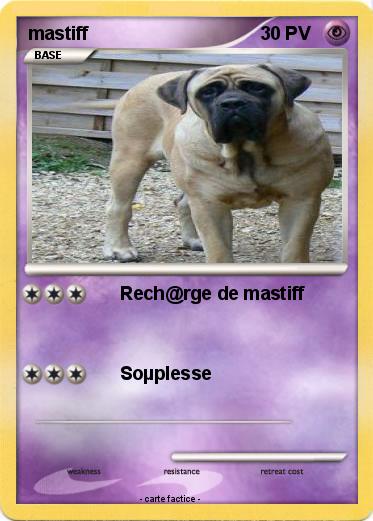 Pokemon mastiff