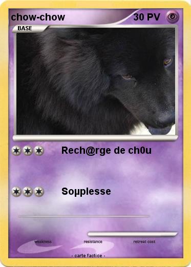 Pokemon chow-chow
