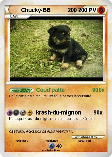 Pokemon Chucky-BB           200