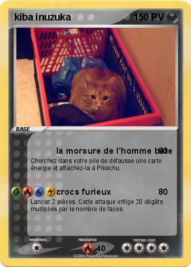 Pokemon kiba inuzuka