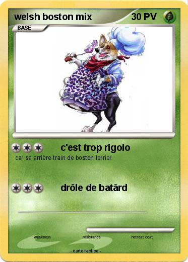 Pokemon welsh boston mix