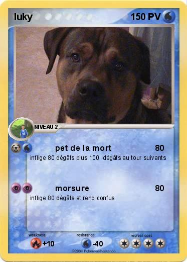 Pokemon luky