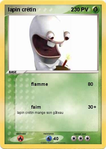 Pokemon lapin crétin                        2