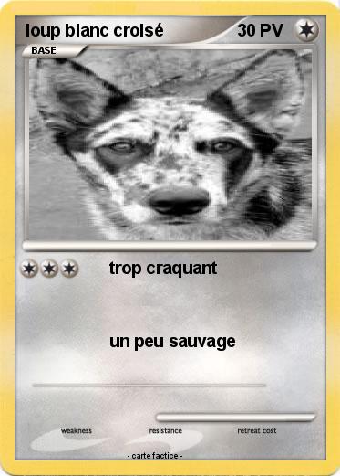 Pokemon loup blanc croisé