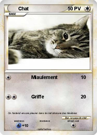 Pokemon Chat