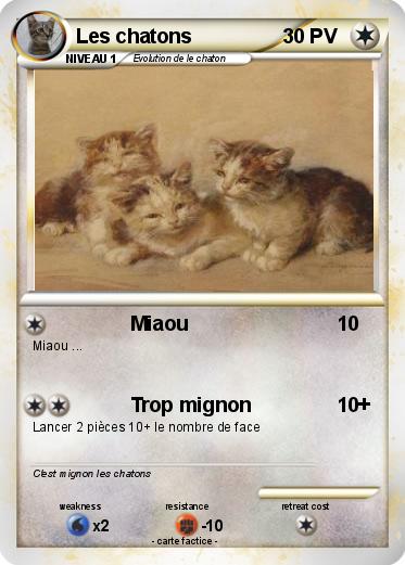 Pokemon Les chatons
