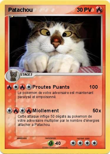 Pokemon Patachou