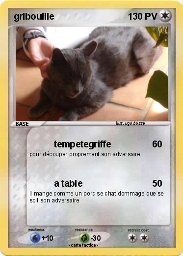 Pokemon gribouille