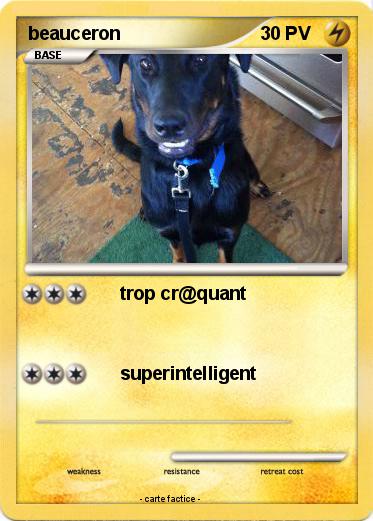 Pokemon beauceron