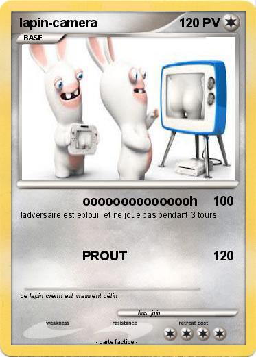 Pokemon lapin-camera