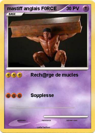 Pokemon mastiff anglais F0RCE