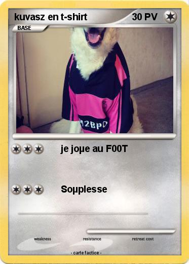 Pokemon kuvasz en t-shirt