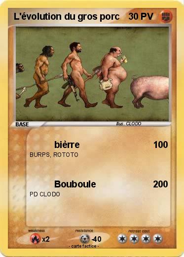Pokemon L'évolution du gros porc