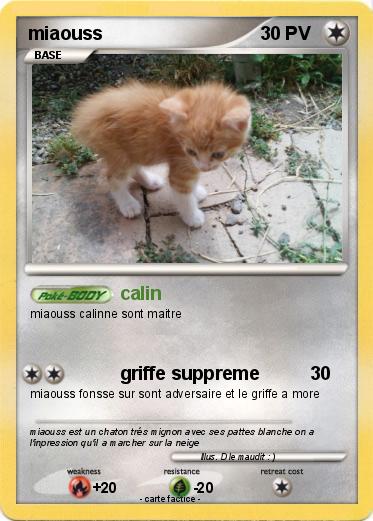 Pokemon miaouss