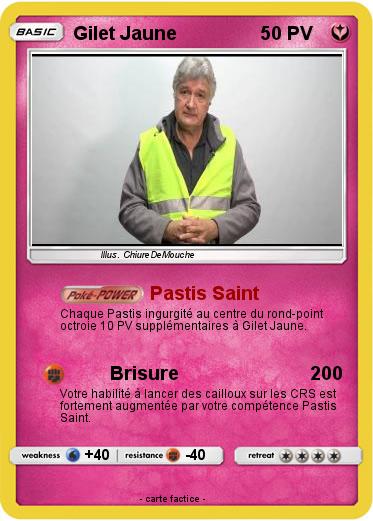 Pokemon Gilet Jaune