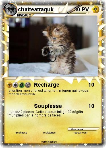Pokemon chatteattaquk