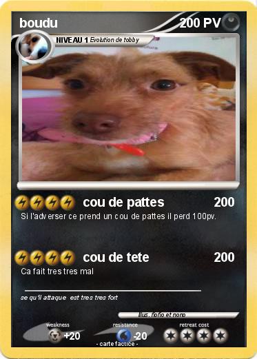 Pokemon boudu