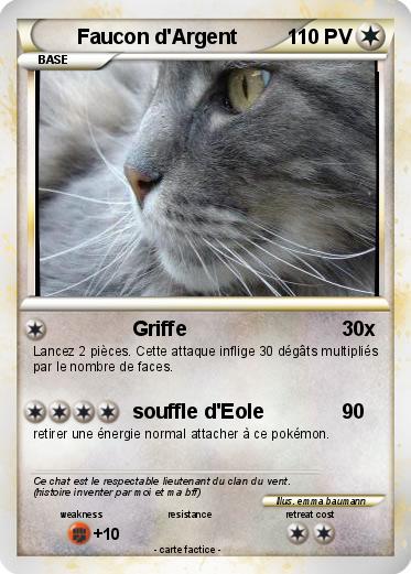 Pokemon Faucon d'Argent