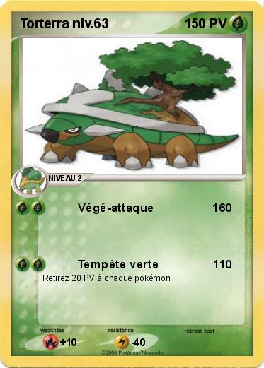 Pokemon Torterra niv.63