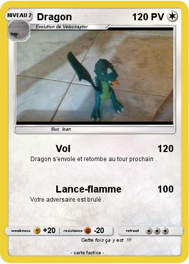 Pokemon Dragon