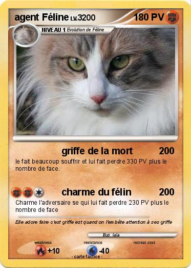 Pokemon agent Féline
