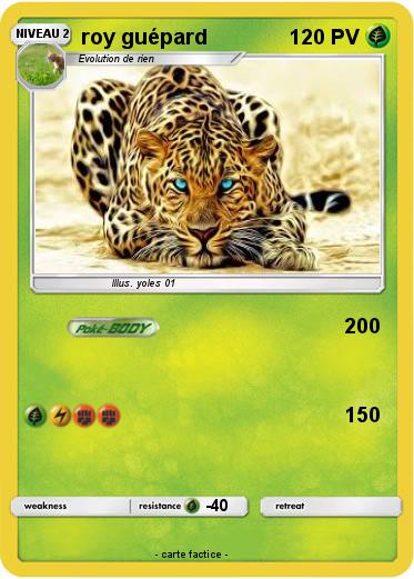 Pokemon roy guépard