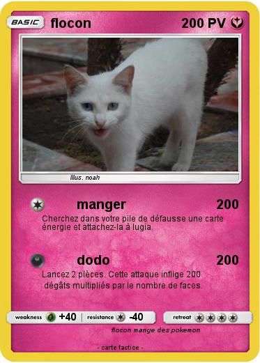 Pokemon flocon